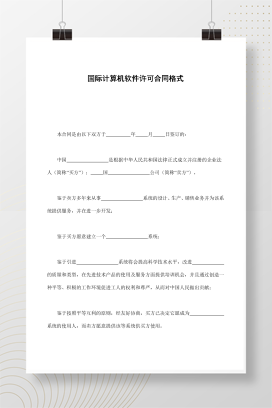 国际计算机软件许可合同格式